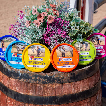 Assorted horse treats on a wooden barrel with flowers in the background
