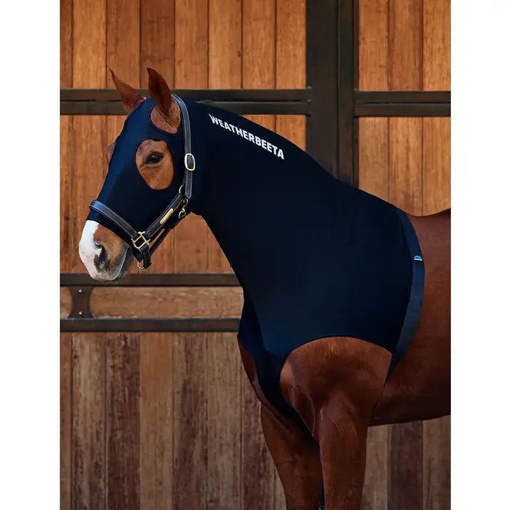 Stretch Hood with Zip
