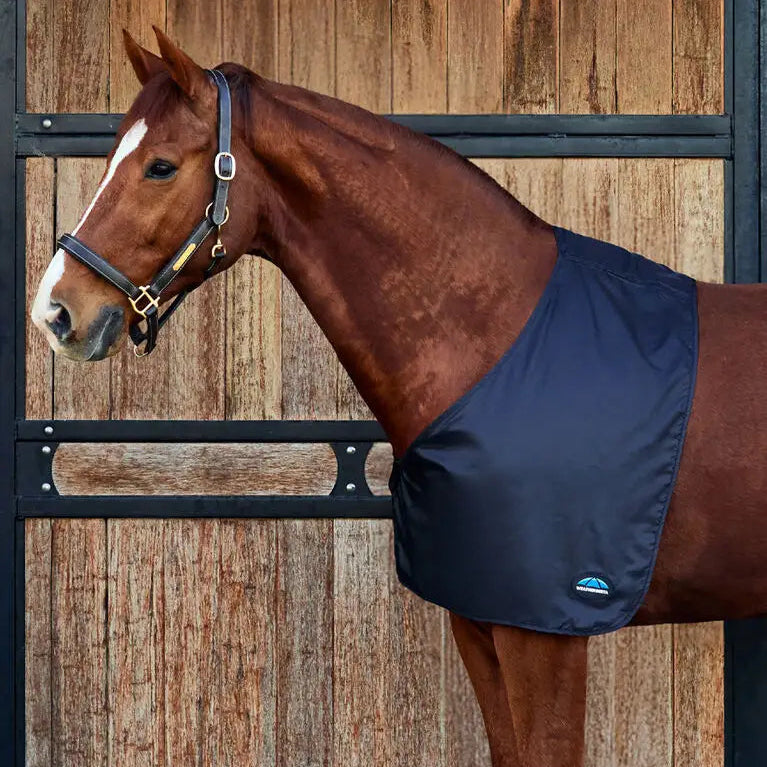 Horse wearing a black shoulder guard standing in front of a wooden stable door.