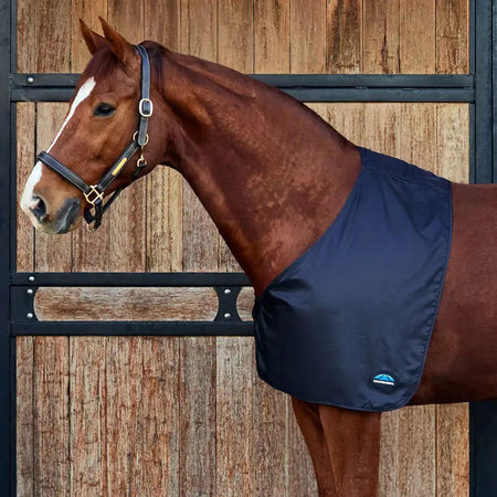 Horse wearing a black shoulder guard standing in front of a wooden stable door.