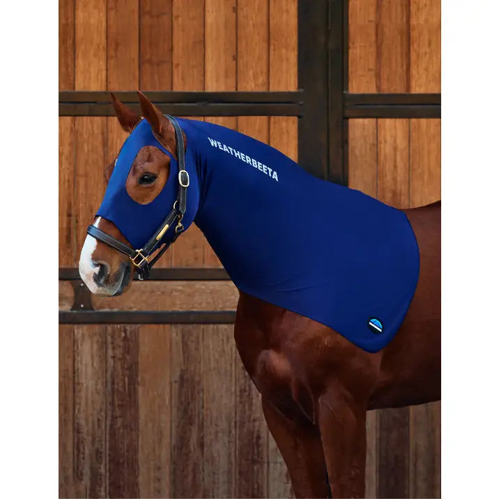 Stretch Hood