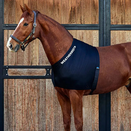 Horse wearing a black Weatherbeeta protective garment in front of a wooden stable door.
