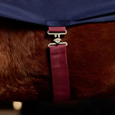 Close-up of a purple strap with a metal buckle on a brown surface.