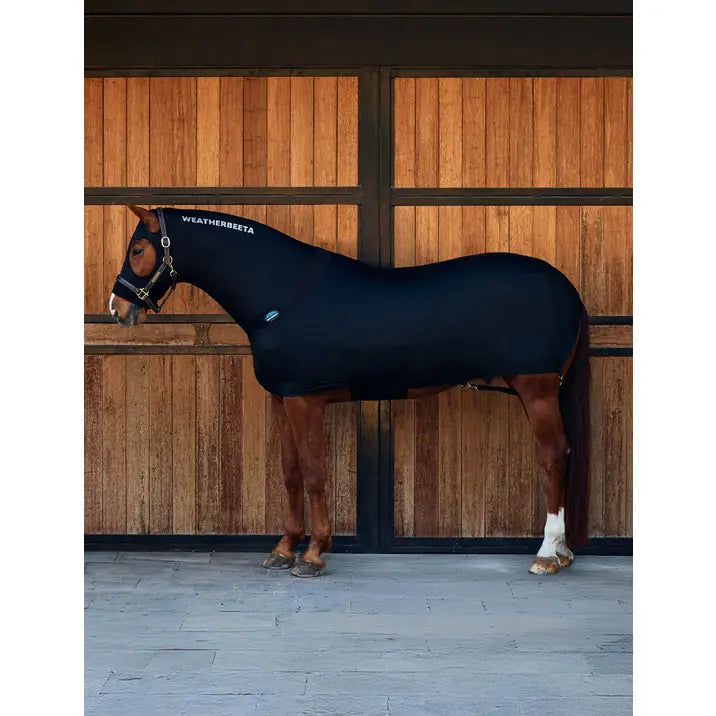 Stretch Rug