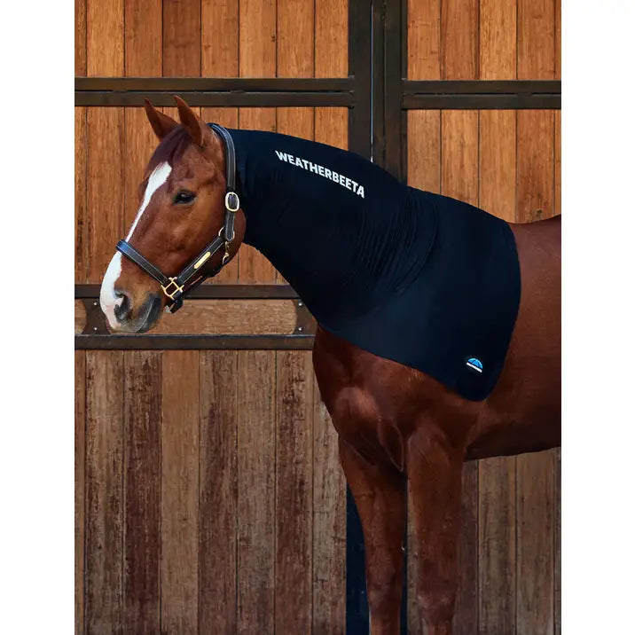 Stretch Neck Rug