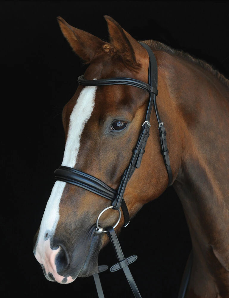 Mono Crown Padded Raised Cavesson Bridle - Black