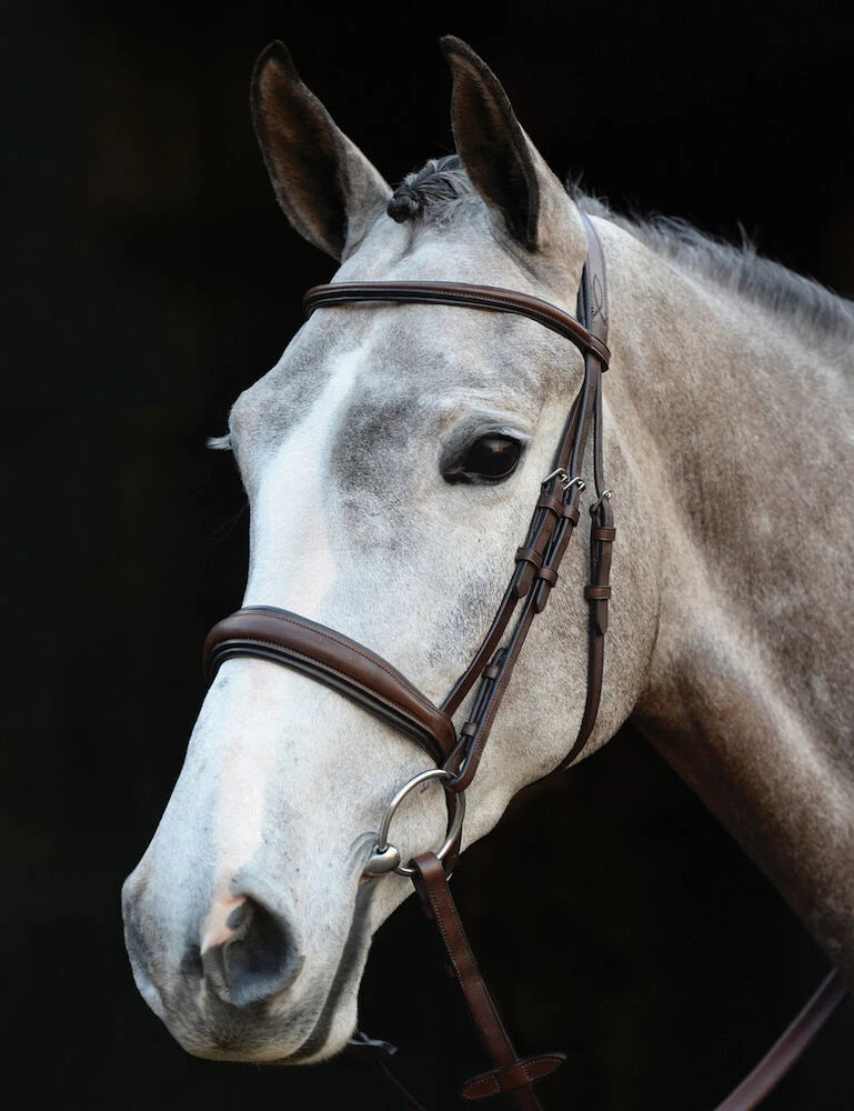 Mono Crown Padded Raised Cavesson Bridle - Brown