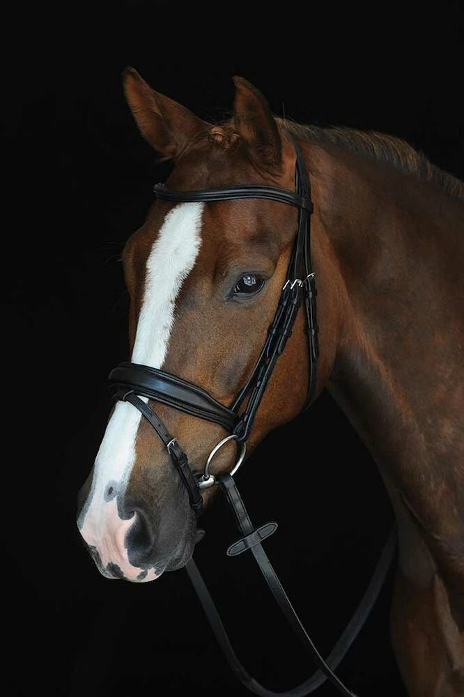 Mono Crown Padded Raised Flash Bridle - Black
