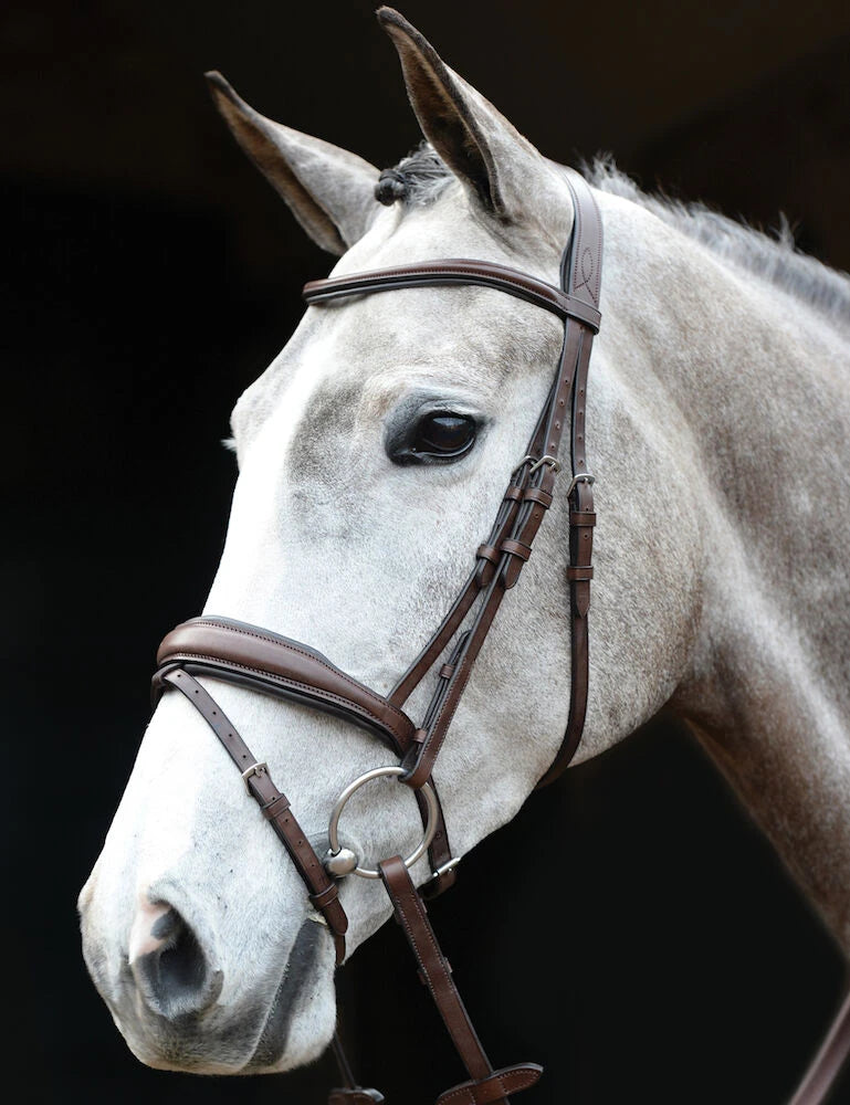 Mono Crown Padded Raised Flash Bridle - Brown