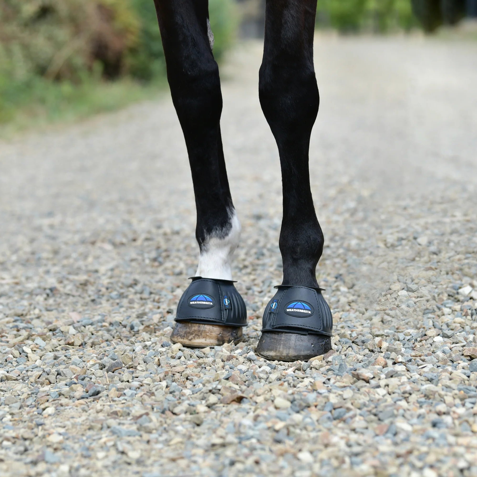Horse hooves with protective boots on a gravel path