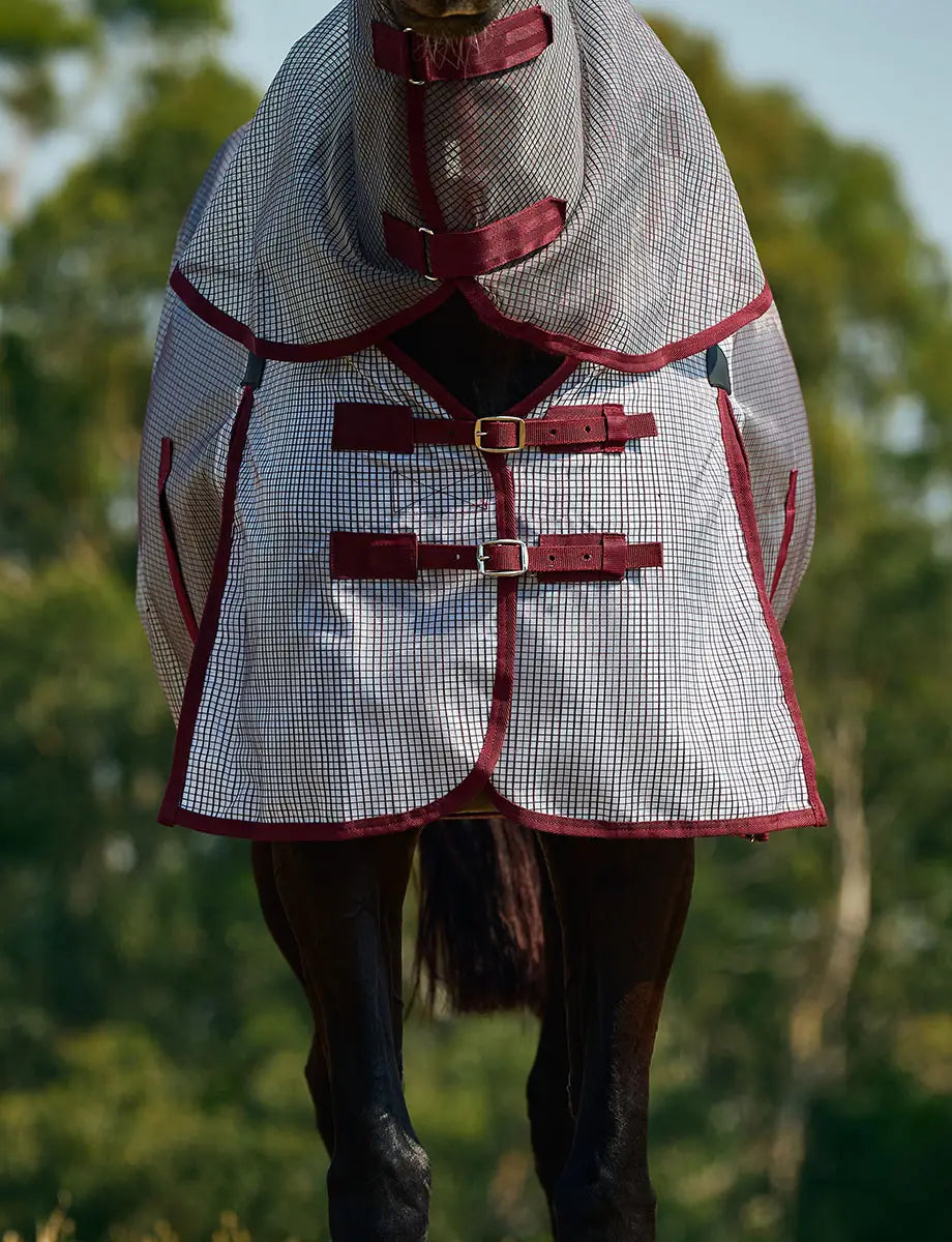 Horse wearing a checkered coat with red trim in a natural setting