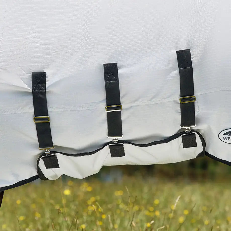 White horse blanket with black straps on a grassy background