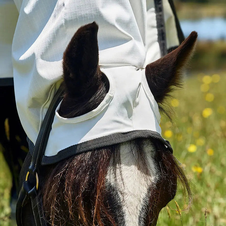Horse wearing a fly mask in a grassy field