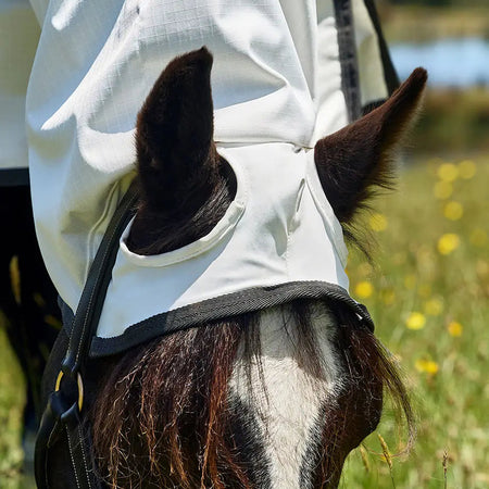 Horse wearing a fly mask in a grassy field