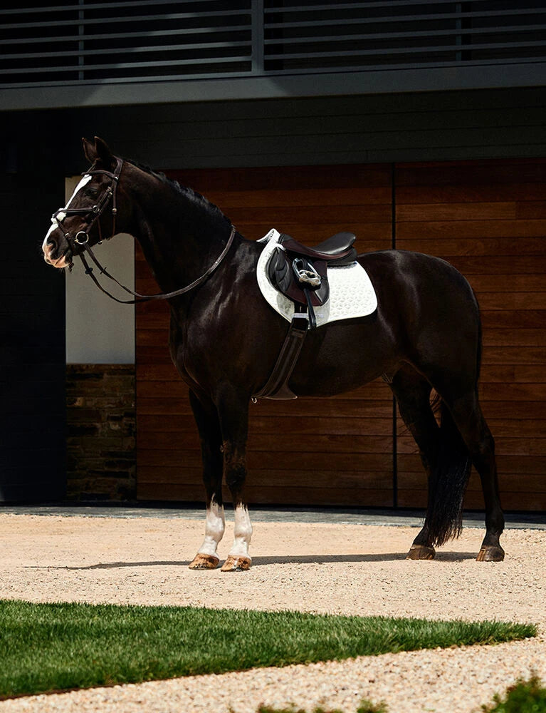 Suede Elite Air-Tec Jump Saddle Pad - White