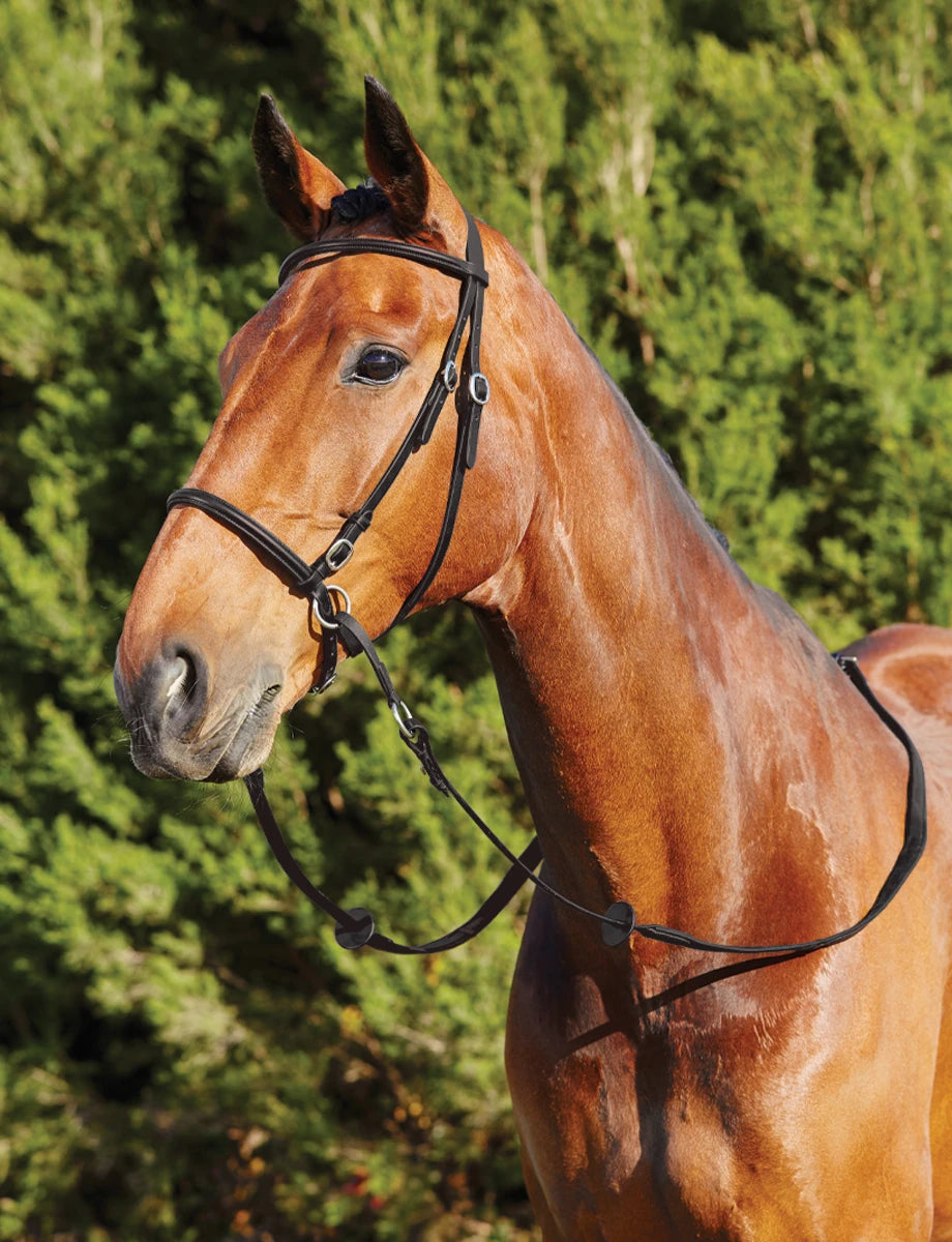 Bitless Bridle