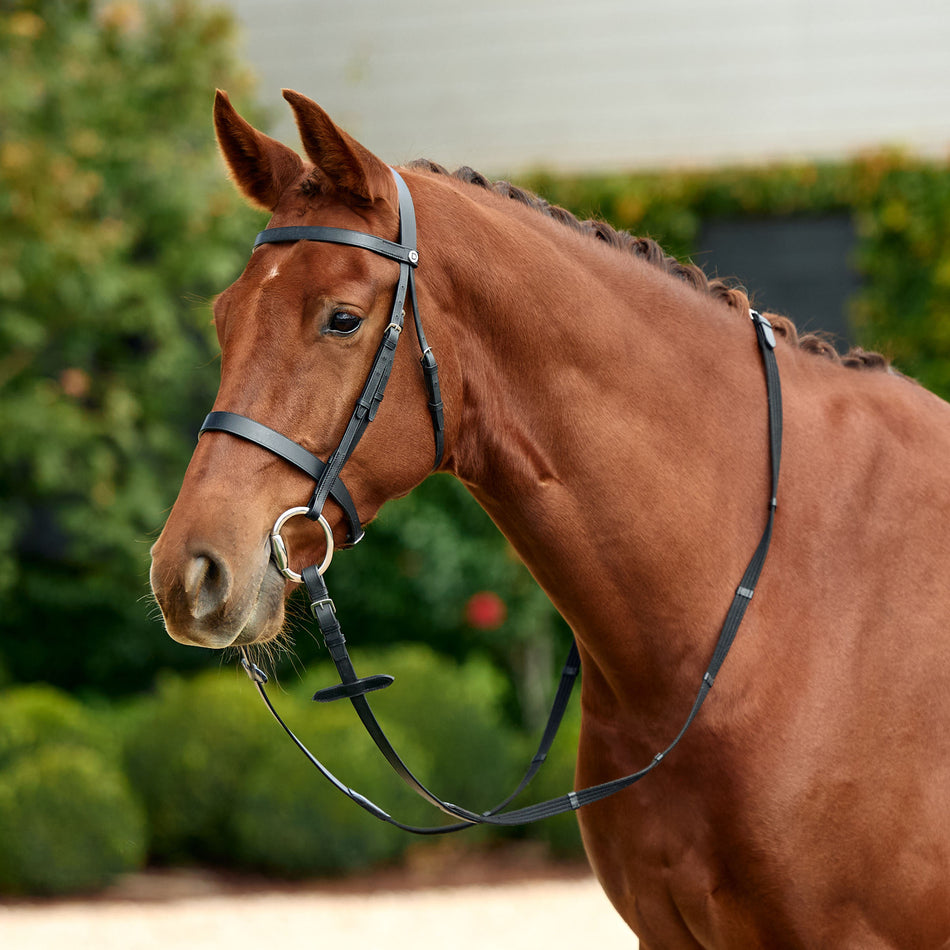 Flat Cavesson Bridle - Black