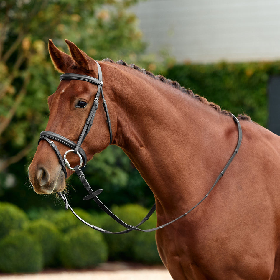 Flash Bridle - Black
