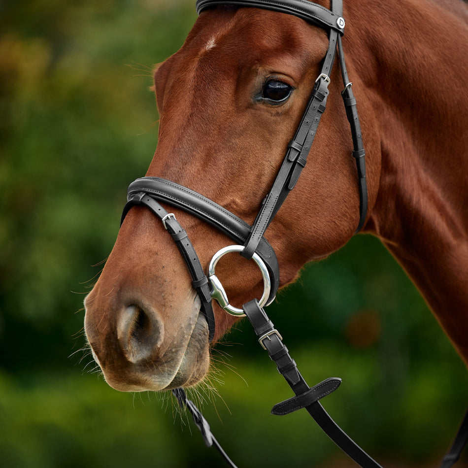 Flash Bridle - Black