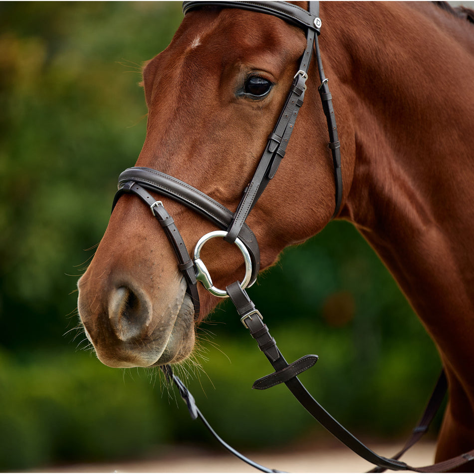 Flash Bridle - Brown