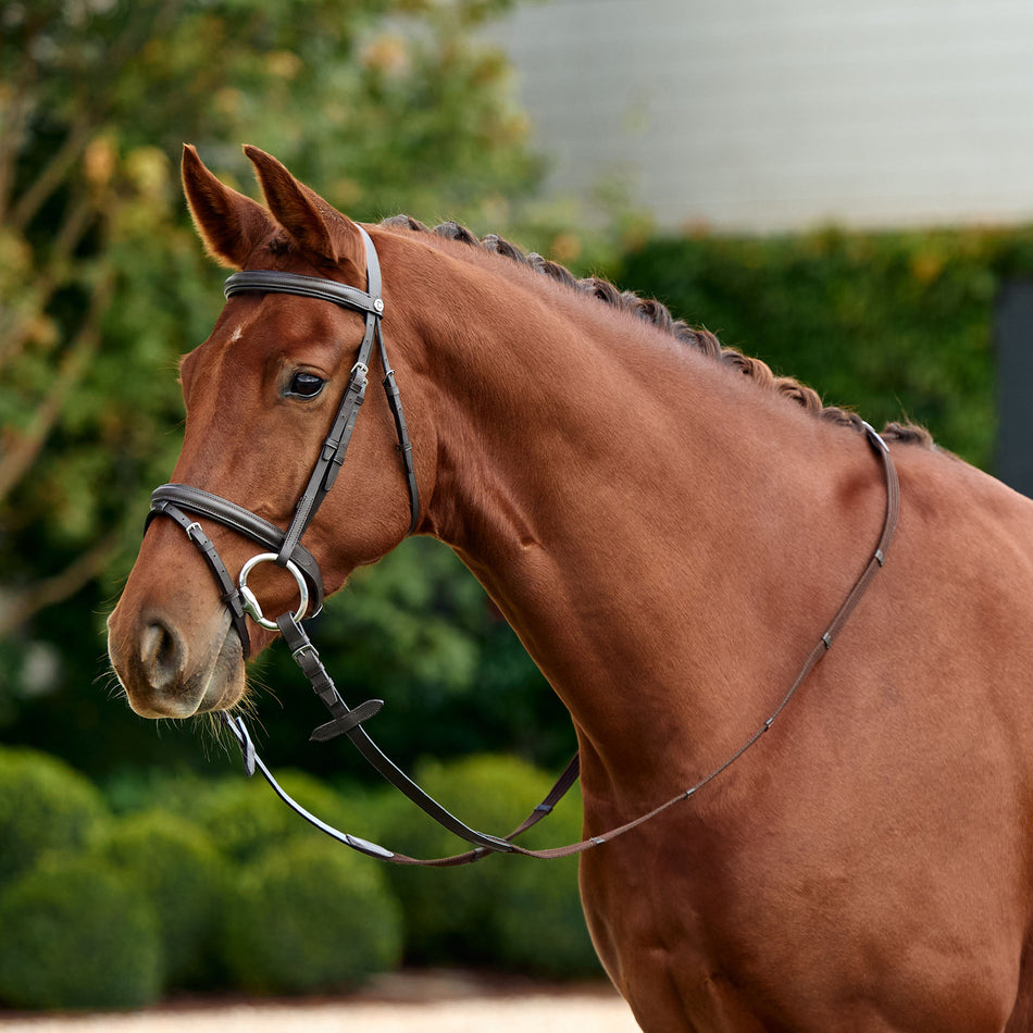 Flash Bridle - Brown