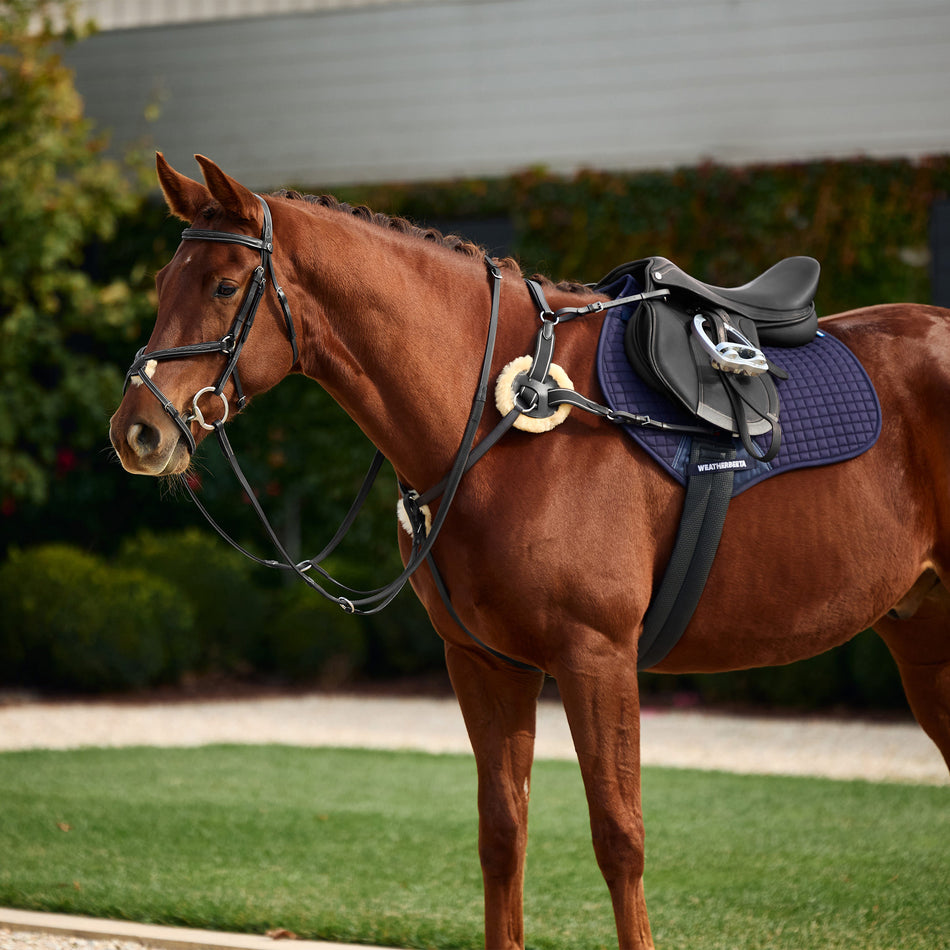 5-Point Event Breastplate - Black