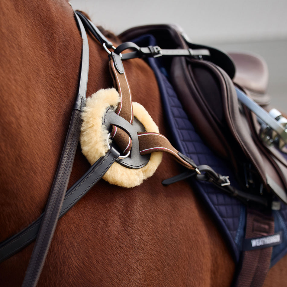 5-Point Event Breastplate - Brown