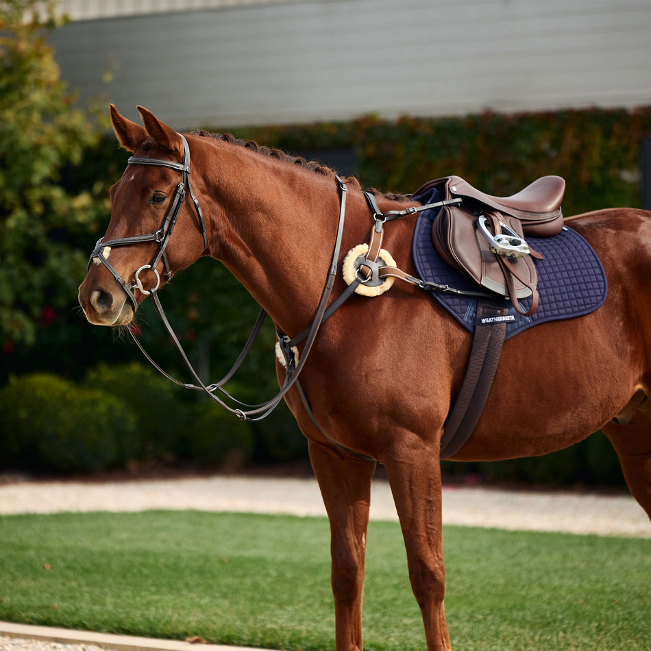 5-Point Event Breastplate - Brown