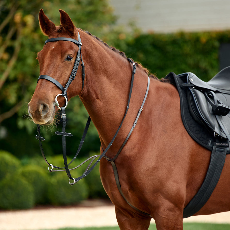Running Martingale - Black