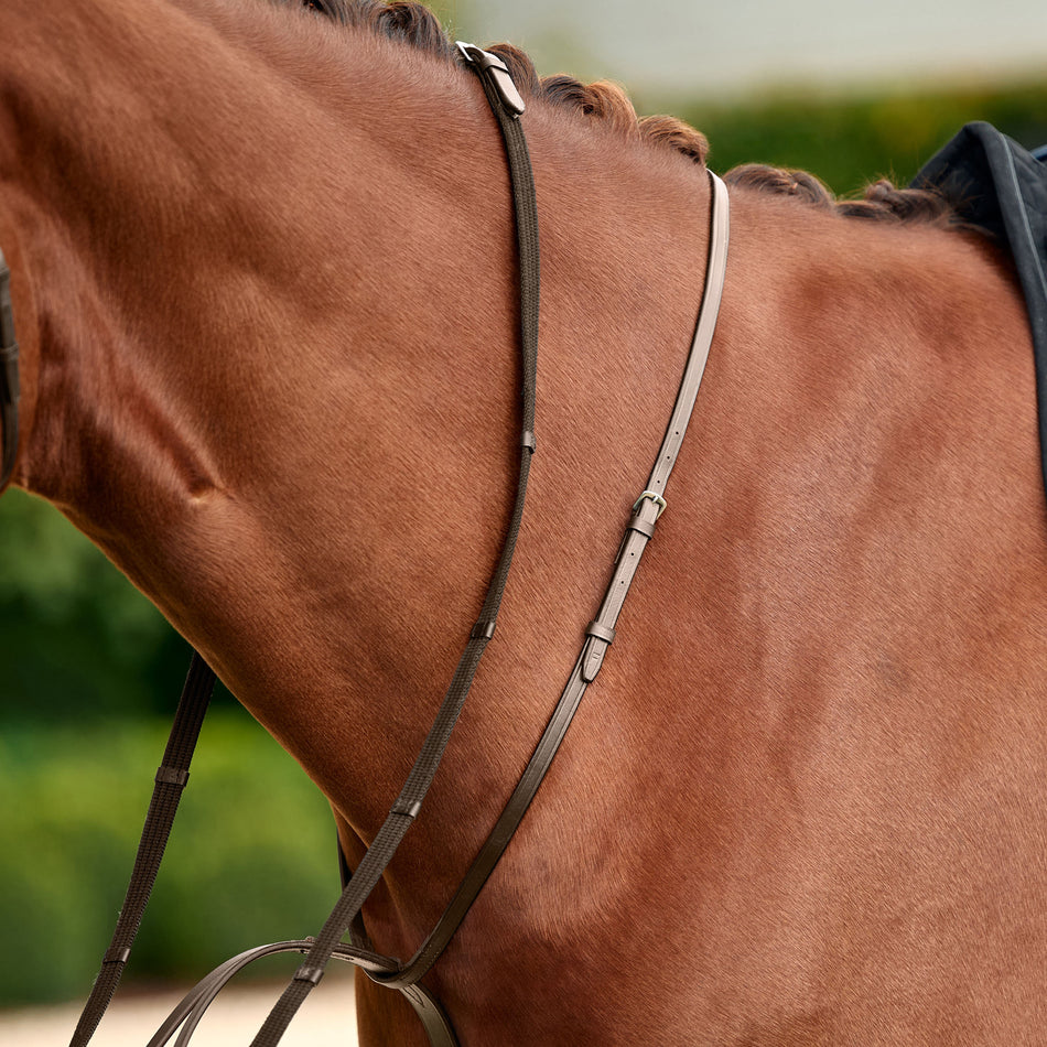 Running Martingale - Brown