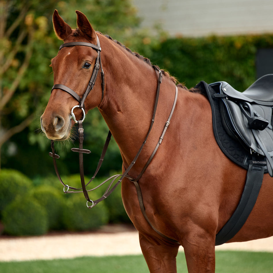 Running Martingale - Brown