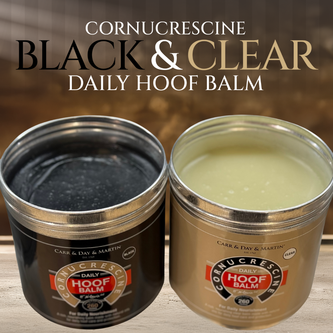 Two containers of Cornucrescine Black & Clear Daily Hoof Balm on a wooden surface.
