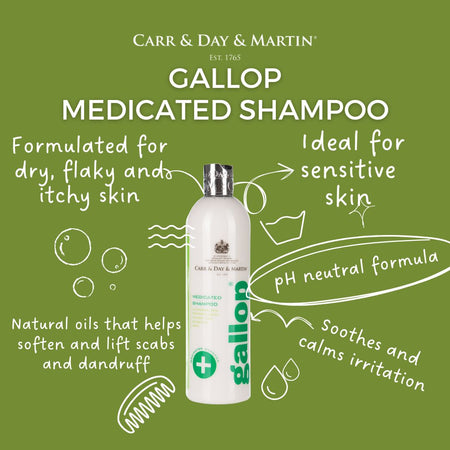Carr & Day & Martin Gallop Medicated Shampoo bottle on a green background with product features listed.