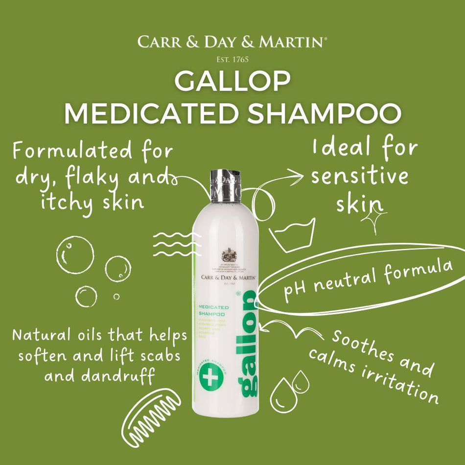 Carr & Day & Martin Gallop Medicated Shampoo bottle on a green background with product features listed.
