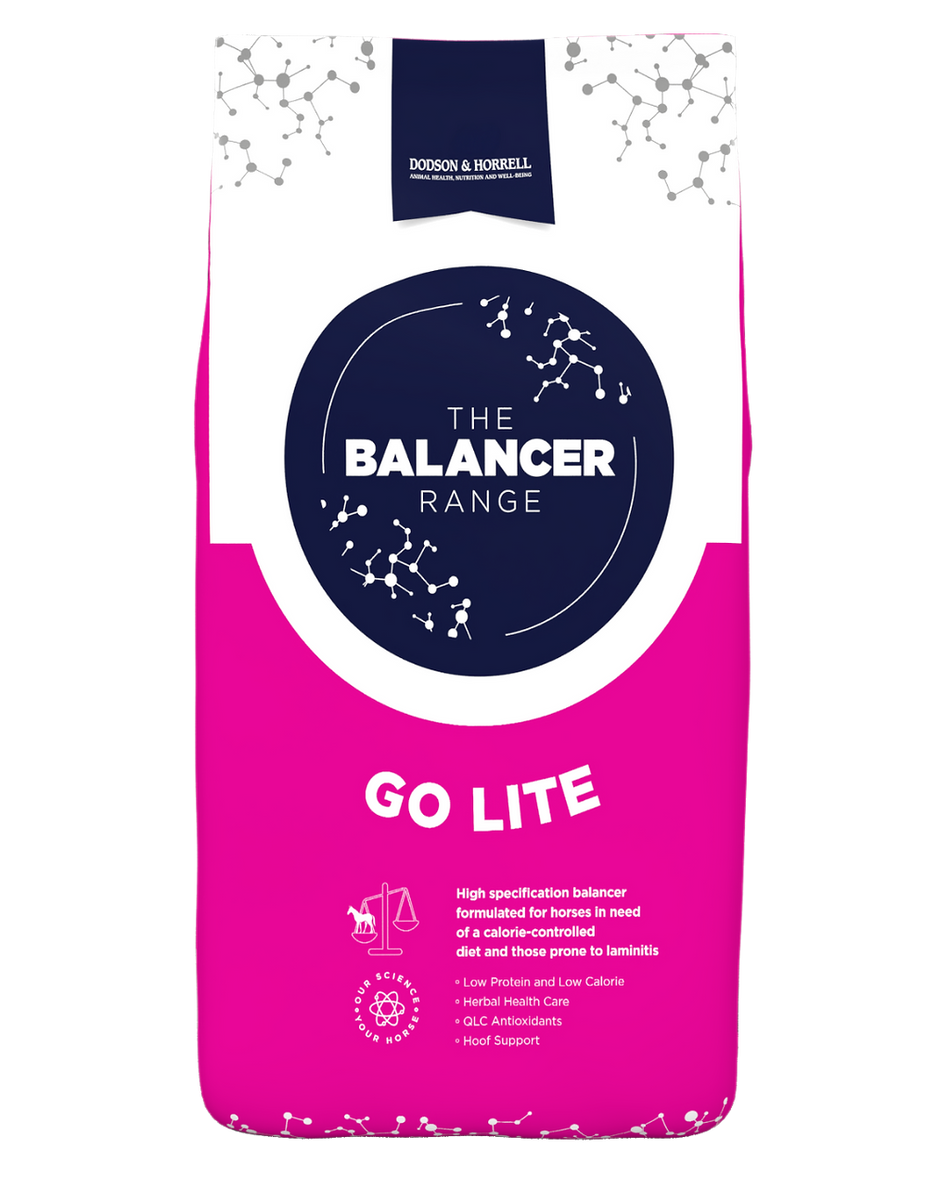 Go Lite Balancer