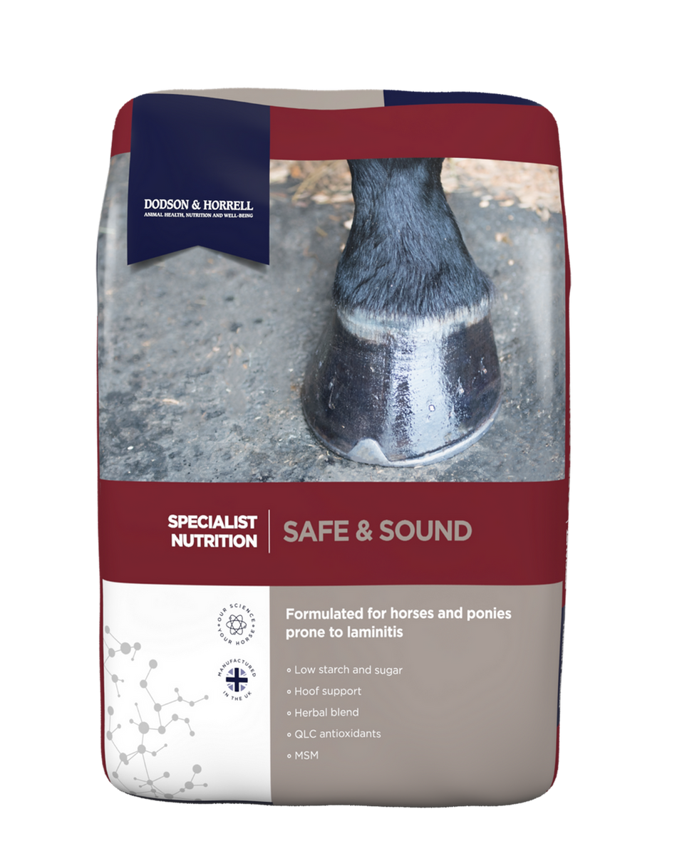 D&H Safe & Sound