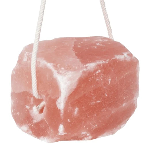 Salt Lick