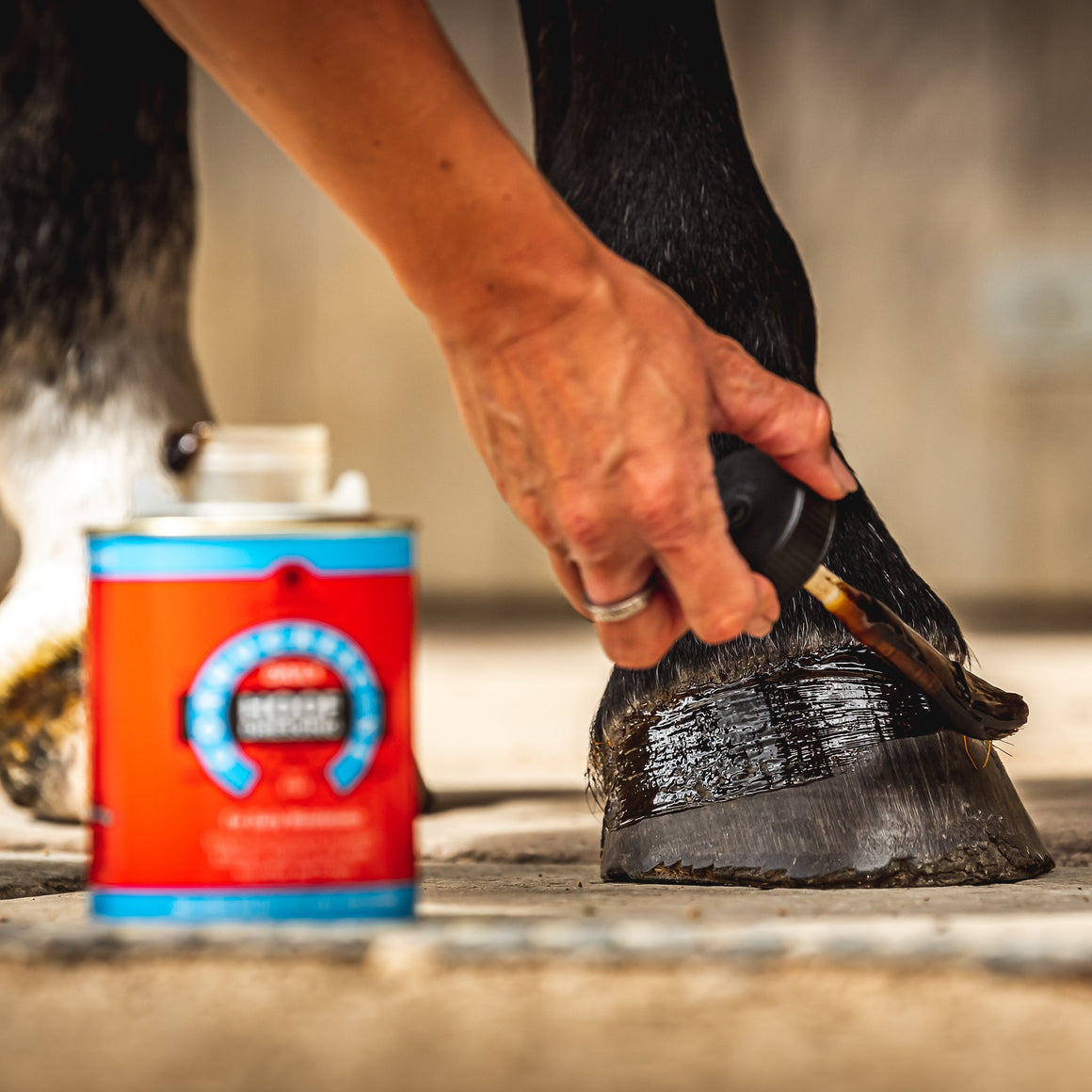 Person cleaning a horse's hoof with a brush next to a can of hoof treatment.