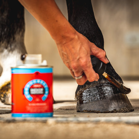 Person cleaning a horse's hoof with a brush next to a can of hoof treatment.