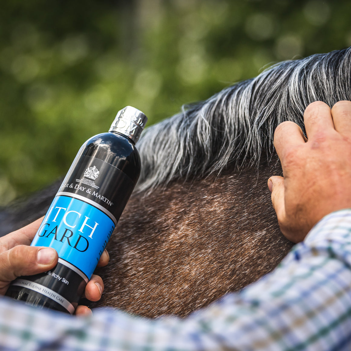 Person applying a product to a horse's skin with a bottle labeled 'Tich Ward'.