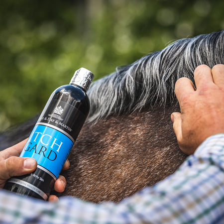 Person applying a product to a horse's skin with a bottle labeled 'Tich Ward'.