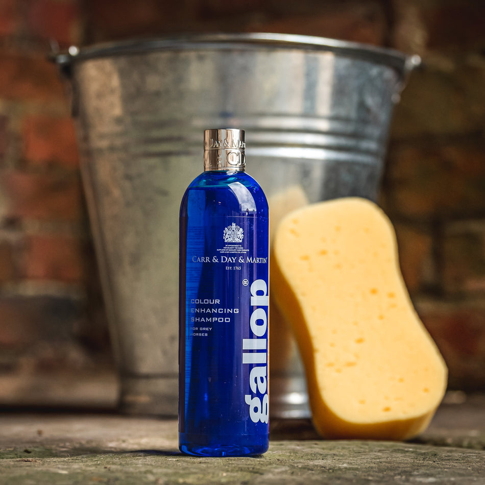 Gallop® Colour Enhancing Shampoo - Grey