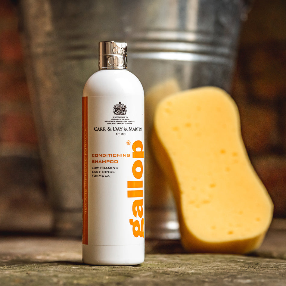 Gallop® Conditioning Shampoo