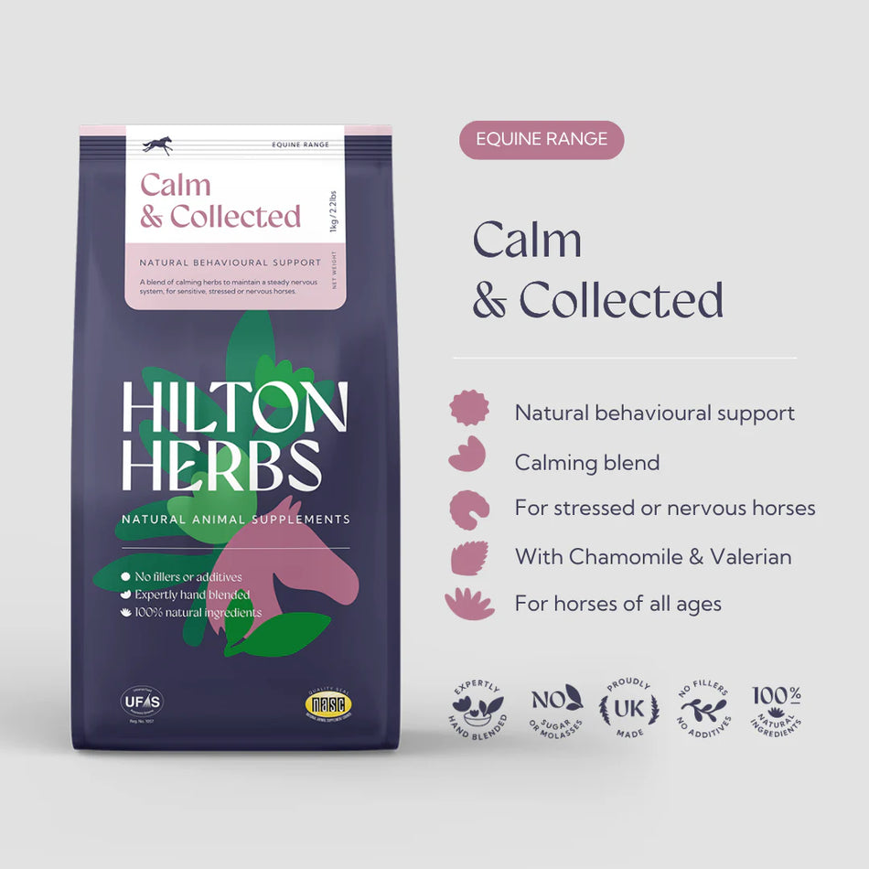 Calm & Collected