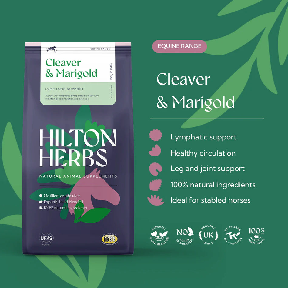 Cleavers & Marigold
