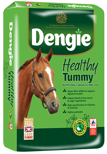 Dengie Healthy Tummy Bale