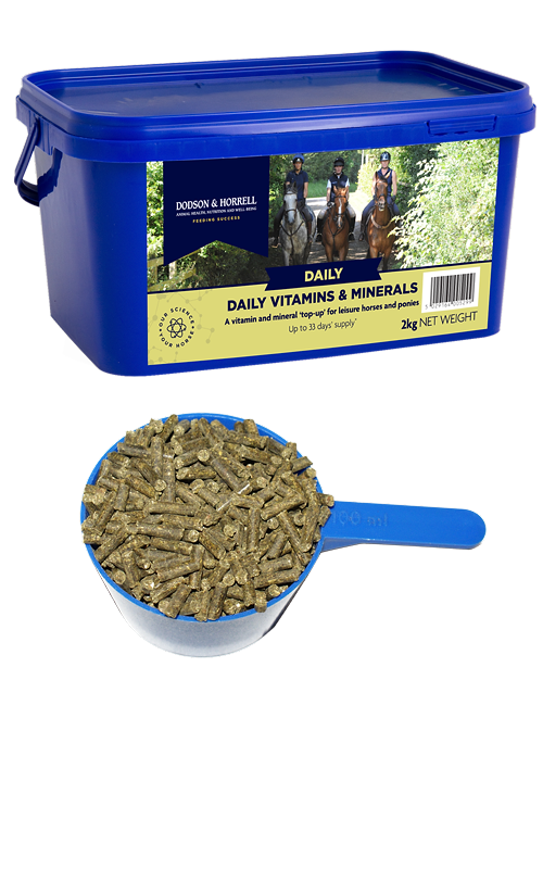 D&H Daily Vitamins & Minerals