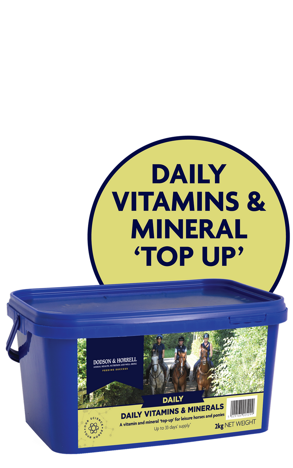 D&H Daily Vitamins & Minerals