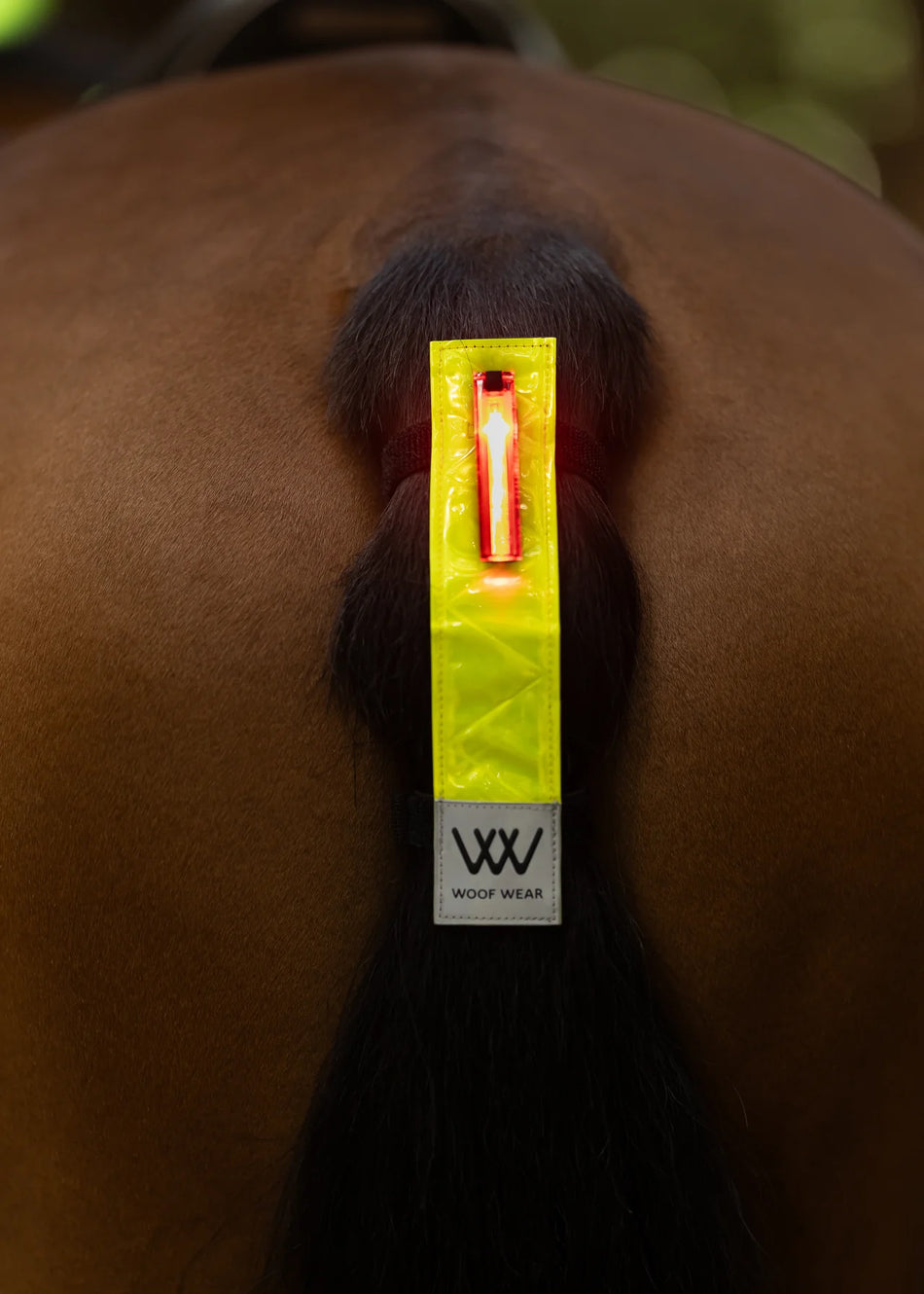 LED Hi Vis Tail Light - Yellow