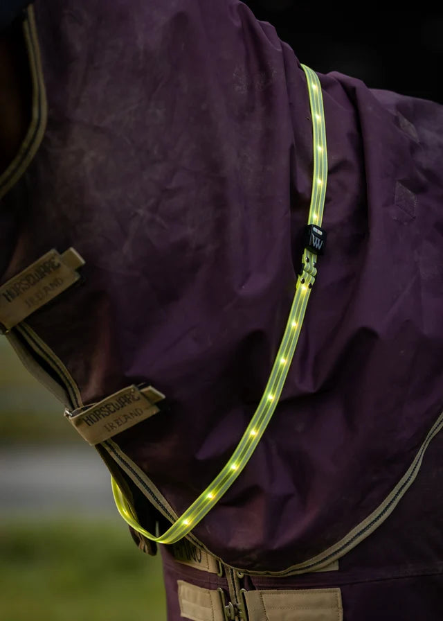 LED Sash - Yellow